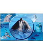 Sous-main de bureau - 550 x 350 mm HERMA Animaux Chats Recto