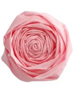 Papier Crépon - Rose pâle : CLAIREFONTAINE Visuel