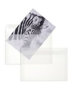 Photo MAIL-Média : Enveloppes transparentes DL - Blanc Couleur