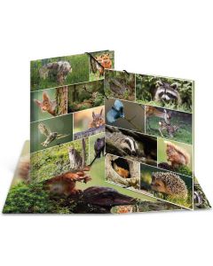 Chemise à élastiques en carton - A3 HERMA Animaux de la forêt