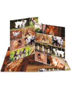 Chemise à élastiques en carton - A3 HERMA Animaux de ferme