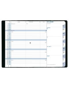 Agenda mensuel 2025 - Plain - 100 x 150 mm QUO VADIS