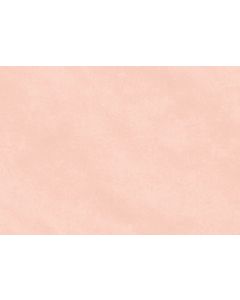 Papier Cadeau Kraft uni - Blanc - 0,7 x 10 m CLAIREFONTAINE