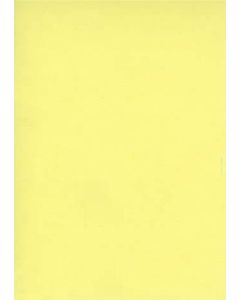Fiches Bristol Unies A3 - 297 x 420 mm - Jaune : ELVE Lot de 100 Visuel