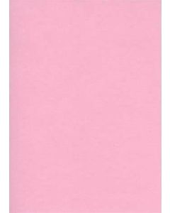Fiches Bristol Unies A5 - 148 x 210 mm - Rose : ELVE Lot de 100 Visuel