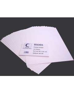 Fiches Bristol - 500 x 650 mm - Blanc uni ELVE B5065 Lot de 25 modèle