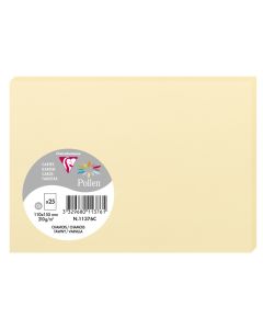 Photo POLLEN Carte Chamois 110 x 155 mm C6 11376C Clairefontaine
