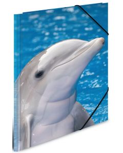 Photo Chemise à rabats à motifs - A4 : HERMA Dauphin (7141)