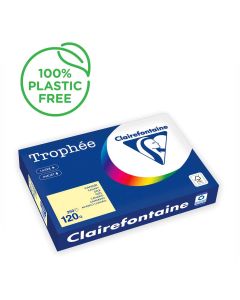 Ramette de papier Trophée de 250 feuilles A3 120g - Canari : CLAIREFONTAINE Photo