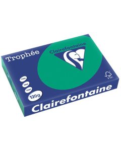 Ramette de papier de 250 feuilles A4 120g - Vert Sapin : CLAIREFONTAINE Trophée Photo